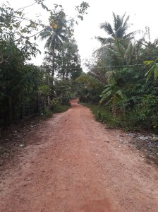 20191113_172811-1