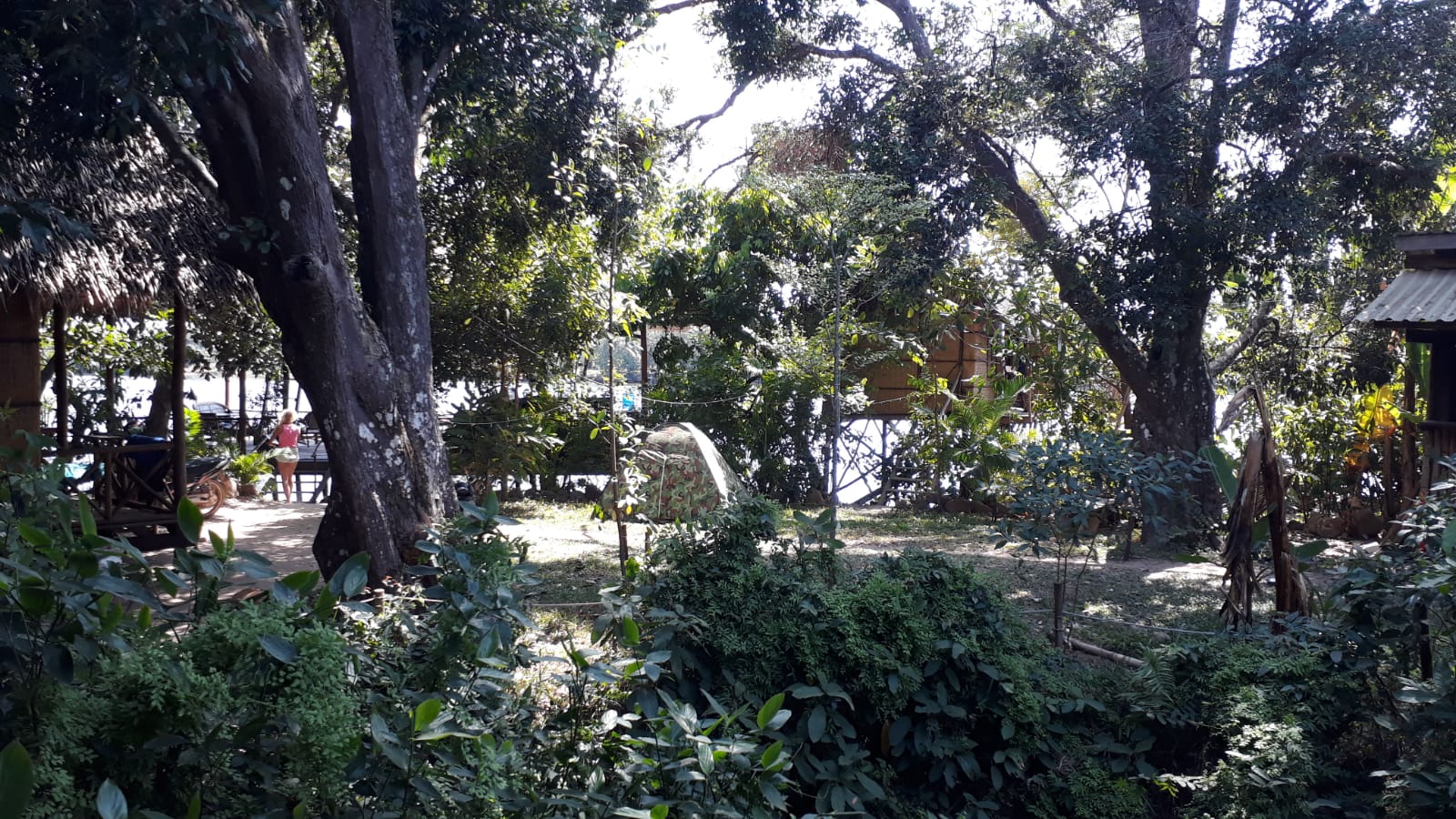 WhatsApp Image 2020-01-24 at 13.37.48